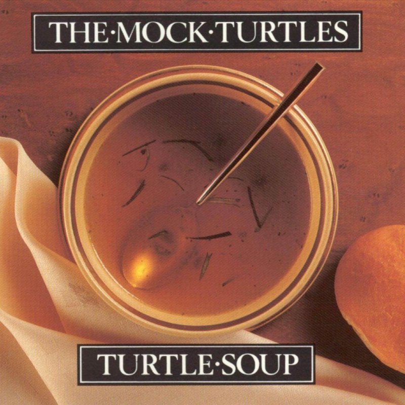 turtle_soup
